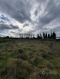 Terreno di 2400 m² a Giugliano in Campania
