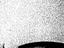 Immagine 17