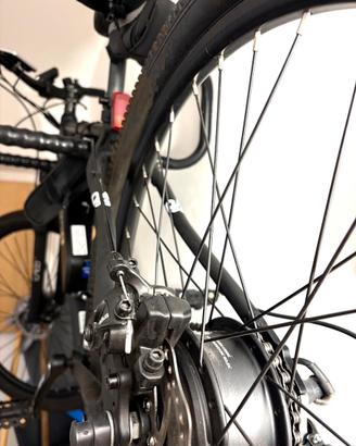 Bici pedalata assistita