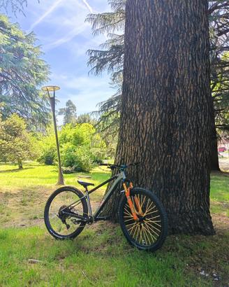 bici mtb 29