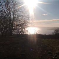 Terreno vista Lago di Bolsena