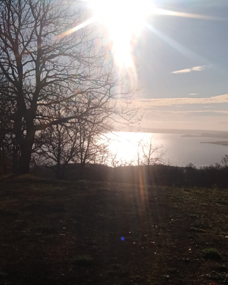 Terreno vista Lago di Bolsena
