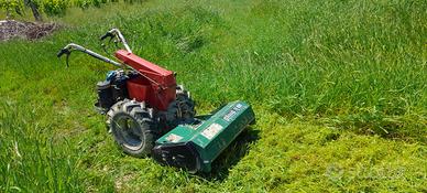 Motocoltivatore Carrarino 14cv + trincia + fresa