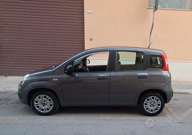 Panda 1.2  2018