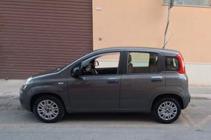 Panda 1.2  2018