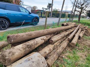 R E G A L O pali in cemento