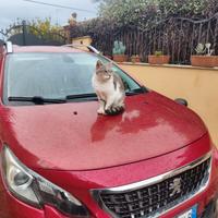 Peugeot 2008 130cv benzina rossa