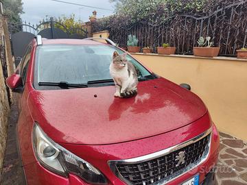 Peugeot 2008 130cv benzina rossa