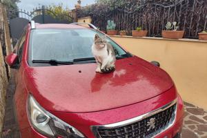 Peugeot 2008 130cv benzina rossa