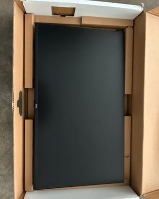 Monitor dell
