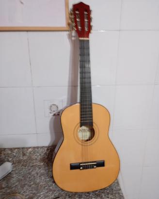 Chitarra