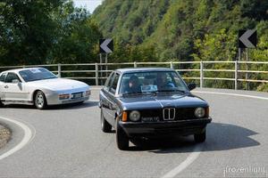 Bmw 318 E21