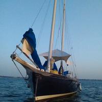 sciarrelli schooner n.106 striscia