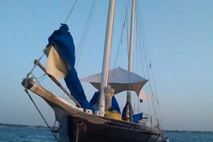 sciarrelli schooner n.106 striscia