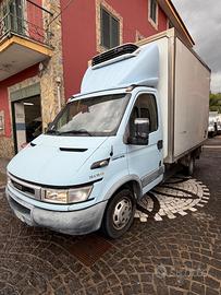 Iveco Daily 35c12 2.3 cc cella frigo isotermico AT