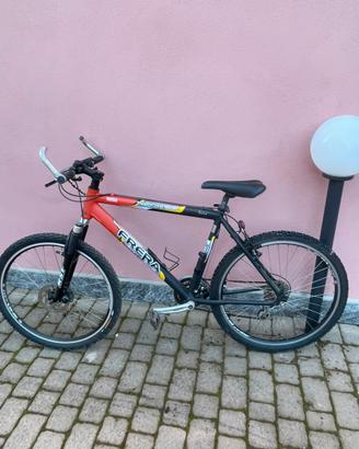 Mountain bike