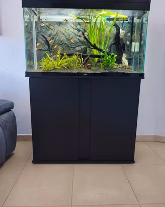 Acquario 200 Litri completo. 