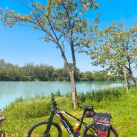  e-bike fantic