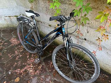 Bici da donna muscolare Bottecchia