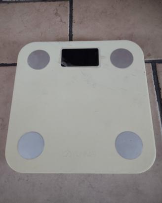 bilancia elettronica 