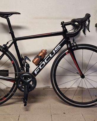 Bici Focus Izalco Race
