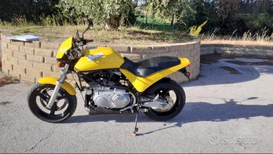 Buell M2 Cyclone