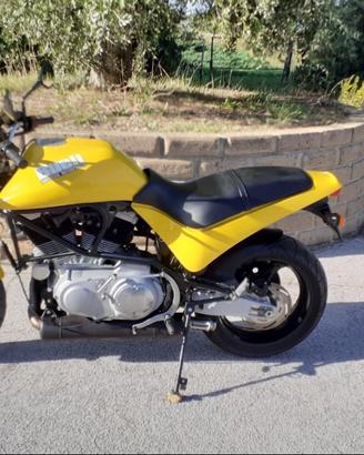 Buell M2 Cyclone