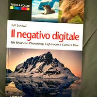 Libro: Il Negativo Digitale