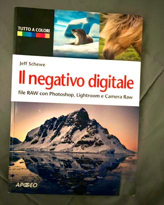 Libro: Il Negativo Digitale
