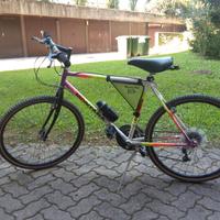 Bicicletta Mountain Bike Shimano