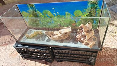 Acquario completo di tutto è di più prezzo trattab