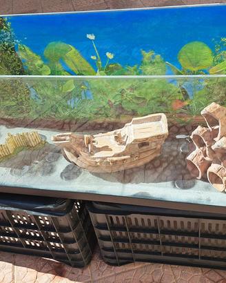 Acquario completo di tutto è di più prezzo trattab