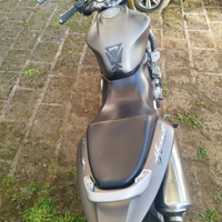 Honda Hornet 600 del 2006