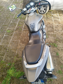 Honda Hornet 600 del 2006