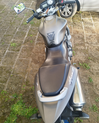 Honda Hornet 600 del 2006