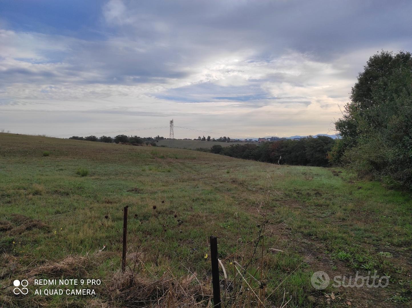 Terreno agricolo - Vista 4