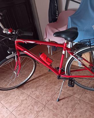Bicicletta come da foto