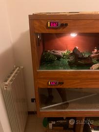 Teca per rettili