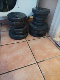 pesi per palestra 