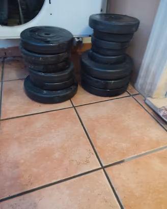 pesi per palestra 