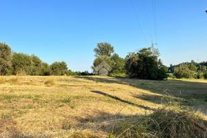 TER. AGRICOLO A CANTALUPO IN SABINA