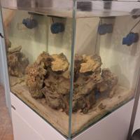 acquario cubo aqpet 50