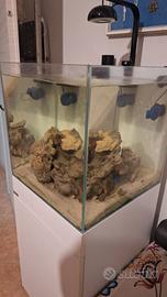 acquario cubo aqpet 50