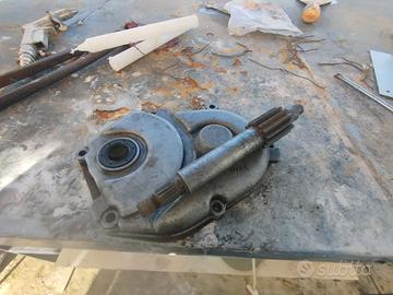 coprirapporti con ingranaggio malossi