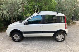 Fiat Panda 4x4 mjt