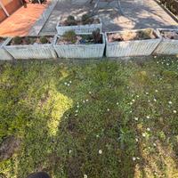 Vasi da giardino in cemento