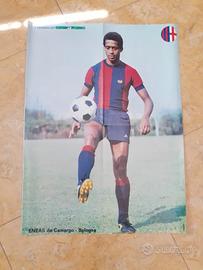 Poster Eneas De Camargo (Bologna)