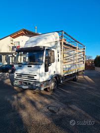 eurocargo 80-18 