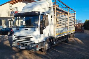eurocargo 80-18 