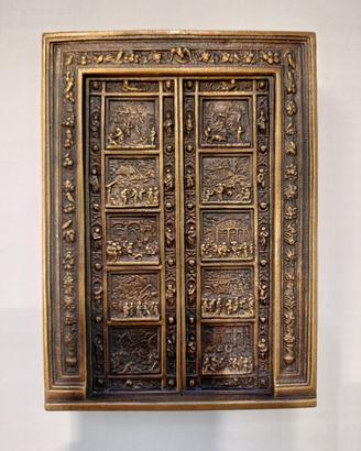 Placca MSD Tienam porta paradiso